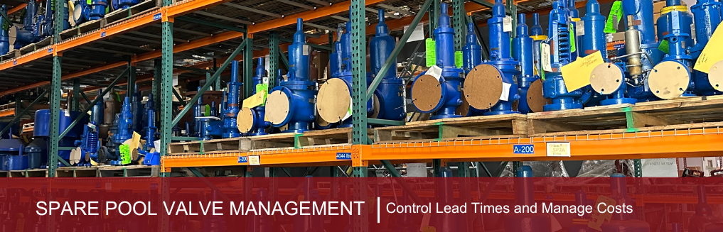 Control Spare Valve Lead Times & Manage Repair Costs